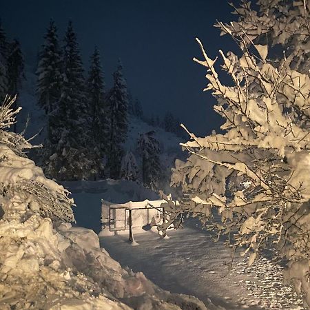 Апартаменты Almen-Kraeuter-Oberreiter Dellach im Drautal Экстерьер фото