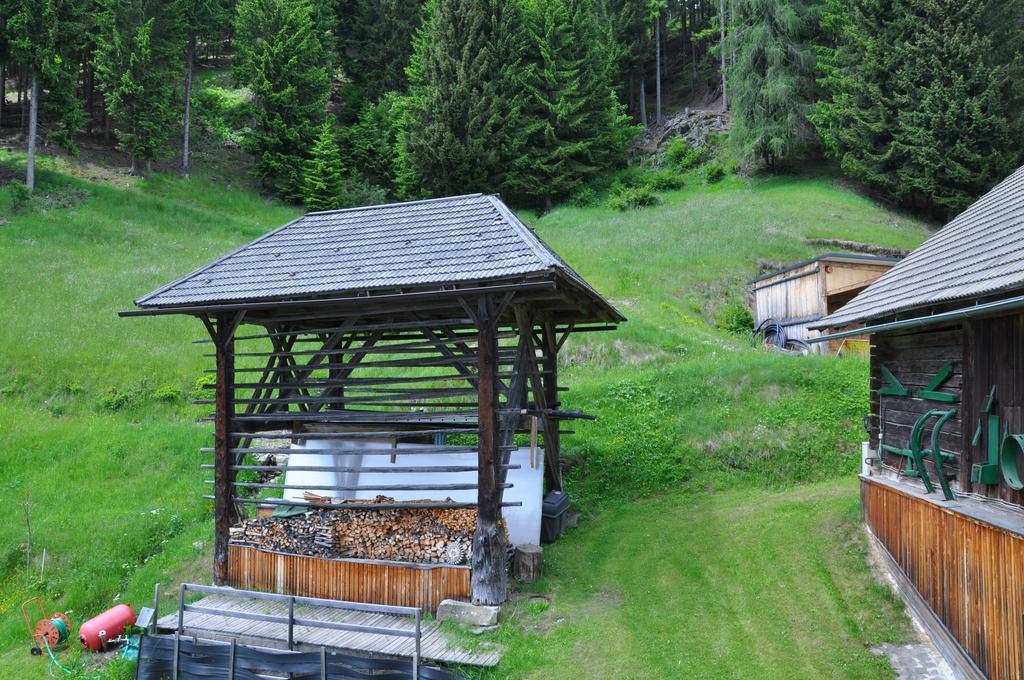 Апартаменты Almen-Kraeuter-Oberreiter Dellach im Drautal Экстерьер фото