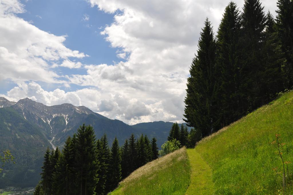 Апартаменты Almen-Kraeuter-Oberreiter Dellach im Drautal Экстерьер фото