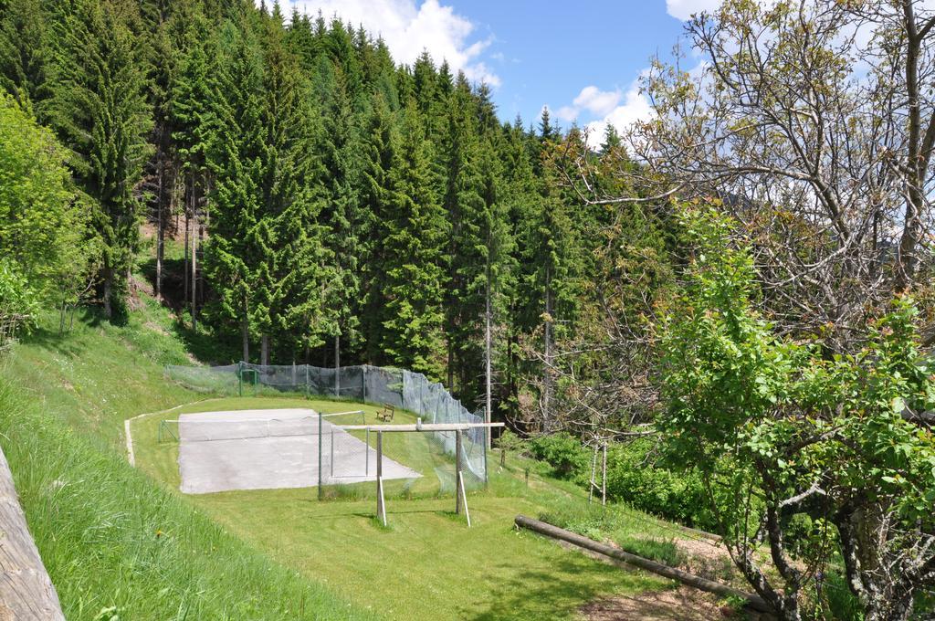 Апартаменты Almen-Kraeuter-Oberreiter Dellach im Drautal Экстерьер фото